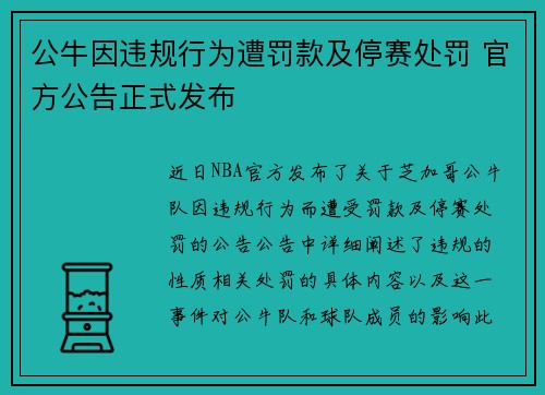 公牛因违规行为遭罚款及停赛处罚 官方公告正式发布