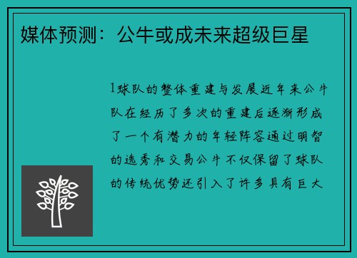 媒体预测：公牛或成未来超级巨星